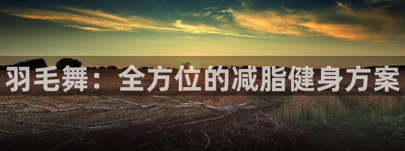 tp官方正版app新能源:羽毛舞:全方位的减脂健身方案